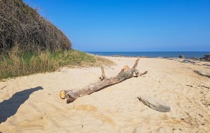 Uma praia arenosa com um tronco de árvore caído e um afloramento rochoso ao fundo.