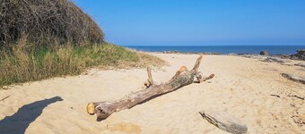 Nice apartment in noirmoutier-en-l'Ăźle