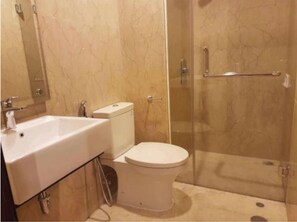 Ensemble douche/baignoire, baignoire à jets, bidet, serviettes fournies