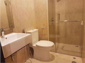 Ensemble douche/baignoire, baignoire à jets, bidet, serviettes fournies
