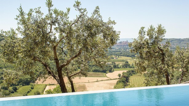 An infinity pool with a view of olive trees and a landscape in the background.
