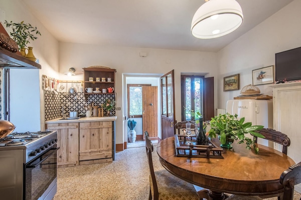 Een koelkast, een oven, een kookplaat, een vaatwasser