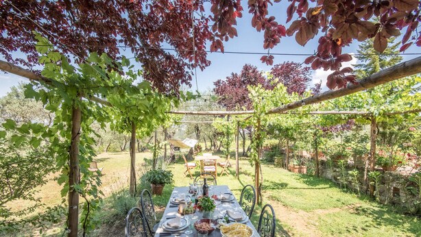 Un espace de restauration en plein air, avec une table dressée pour un repas, entouré de verdure et d’arbres.