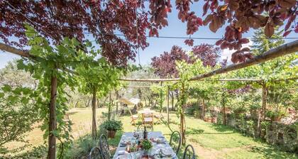 2 bedroom cozy home in Siena