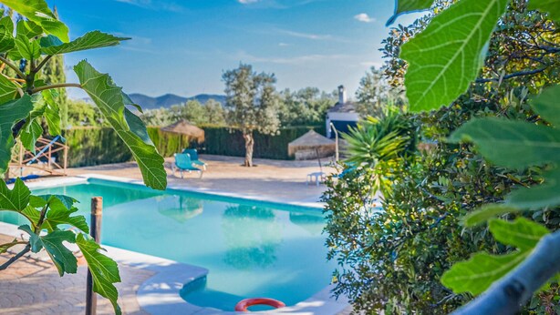 A swimming pool surrounded by greenery, with a clear sky and a few trees in the background.