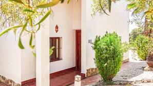 A narrow corridor with a wooden door, a window with a curtain, and a small tree.