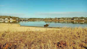 Ein ruhiger See mit sandigem Ufer und trockenem Gras im Vordergrund.