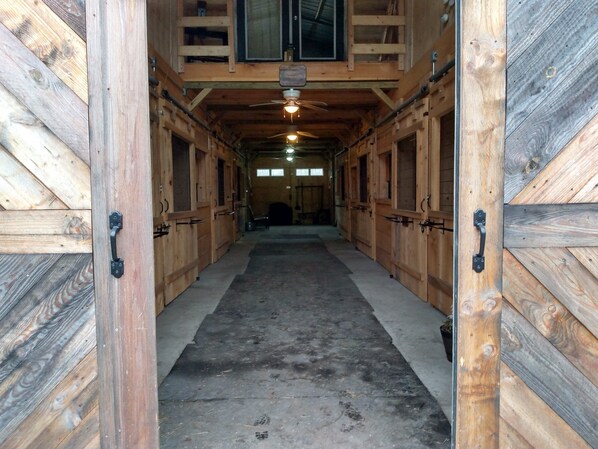 A barn with wooden walls and a concrete floor, featuring a central aisle and multiple stalls.