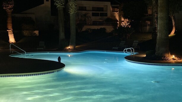 Une piscine éclairée, où l’on peut nager la nuit, avec une eau claire, entourée de palmiers et avec un bâtiment visible au loin.