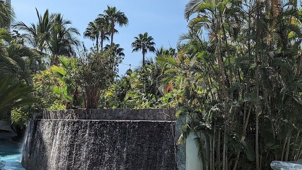Un espace piscine agrémenté d’une cascade, entouré de palmiers et d’une eau cristalline.