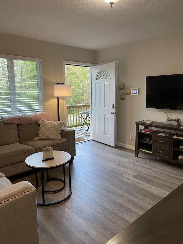 Smart TV, DVD player, books