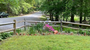 Un espace jardin agrémenté d’une clôture en bois, de différentes plantes en pot et, au fond, d’une route.