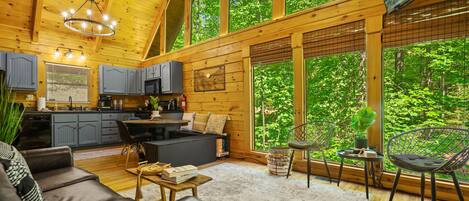 智能電視、壁爐、電子遊戲、書籍