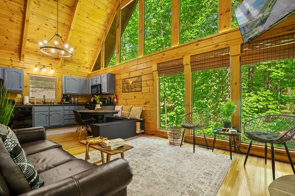 Smart TV, fireplace, video games, books