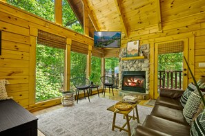 Smart TV, fireplace, video games, books