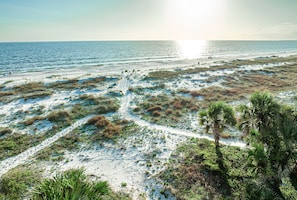 A beach with a clear path leading to the water, surrounded by vegetation and palm trees. - Cozy 2bed/1.5bath beach townhome!! 75 steps to the beach! Stunning ocean view! (Port St. Joe)