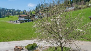 A house with a large garden and a view of a green field and trees in the background. - Holiday home a short distance from the ski lift (Hopfgarten im Brixental)
