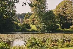 A serene landscape with a pond covered in lily pads, surrounded by lush greenery and trees. - Estate Lodge -  Luxury Cottages (Leominster)