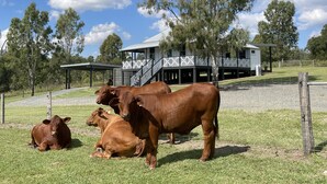 A rural property with a large house, a covered outdoor area, and a fenced field with cows.