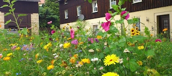 Ferienwohnung in Struppen