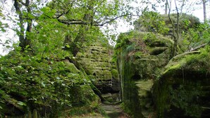A narrow forest path surrounded by moss-covered rocks and dense foliage. - Ferienwohnung in Struppen (Struppen)