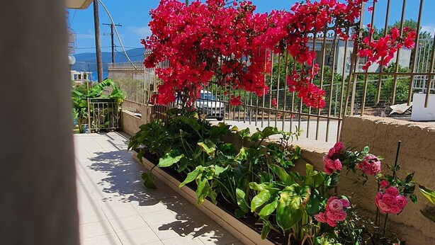 Een balkon met betegelde vloer, plantenpotten en een metalen hekwerk.