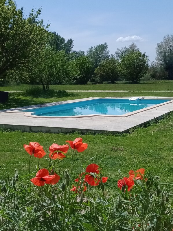 حمّام سباحة خارجي