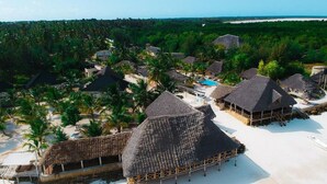 Aerial view - Horizon of Michamvi Beach (Michamvi)