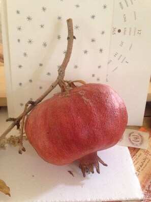 Miscellaneous - independent little flat on two floor silent courtyiard with wisteria (Milano)