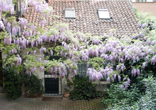 Exterior detail - independent little flat on two floor silent courtyiard with wisteria (Milano)