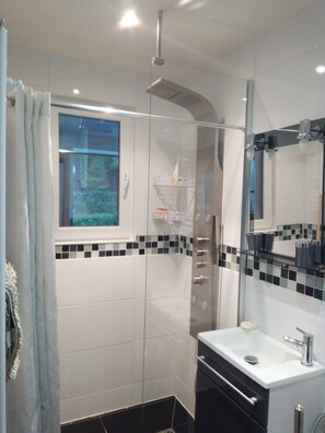 Shower, hair dryer, toilet paper