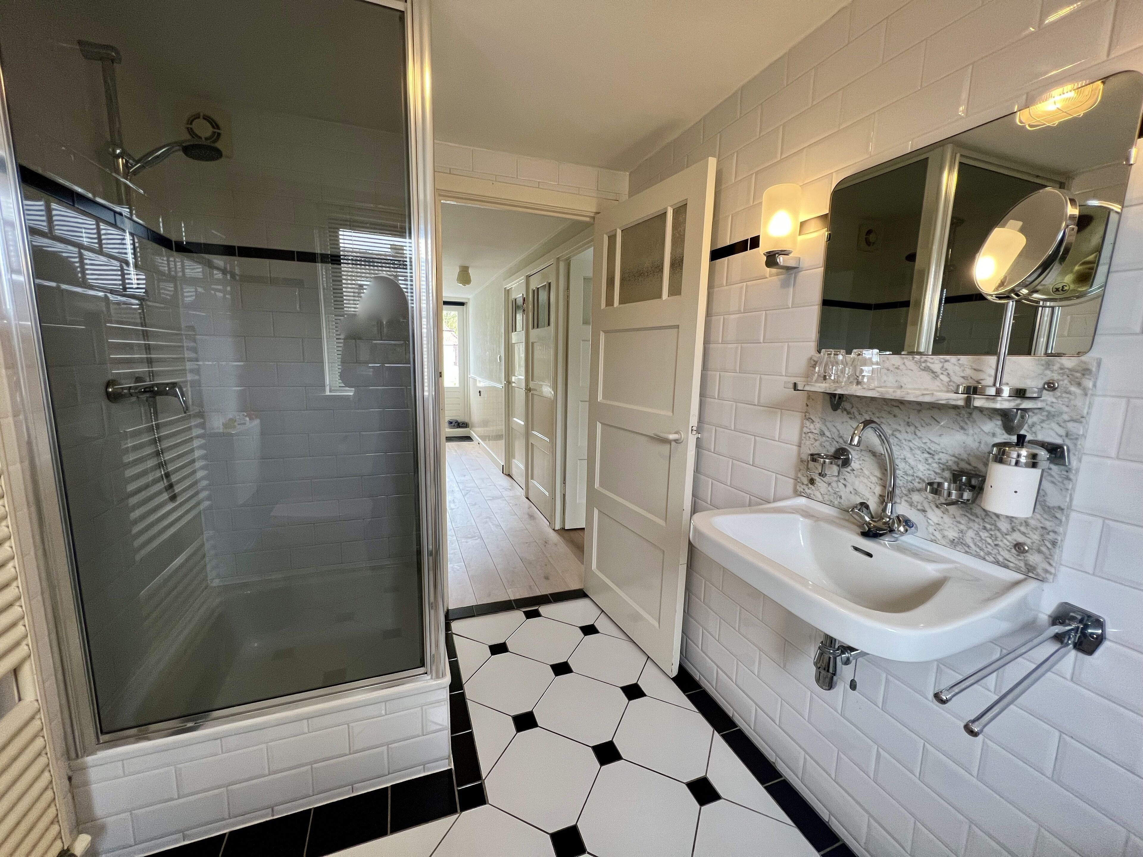 Shower, hair dryer