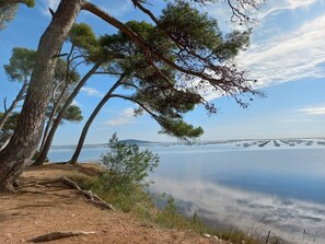 Tæt på stranden