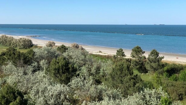 Eine Küstenlandschaft mit Strand, dichtem Buschwerk und blauem Himmel.