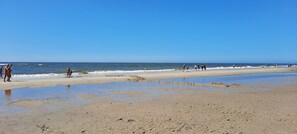 بالقرب من الشاطئ، كراسي للتشمس