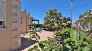 Pátio com palmeira, pérgola e roseiral.