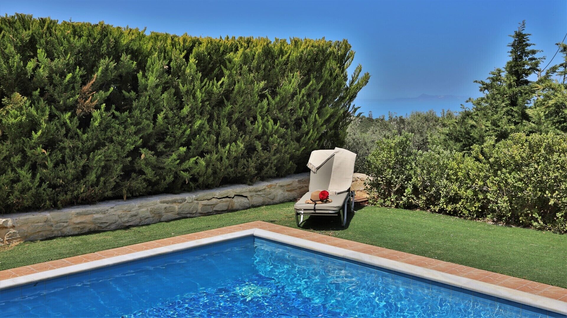 A swimming pool with a lounge chair and a rose.