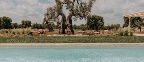 Piscine extérieure (ouverte en saison)
