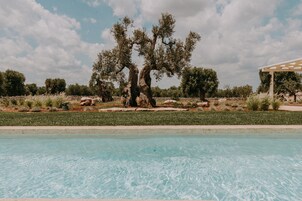 Piscine extérieure en saison