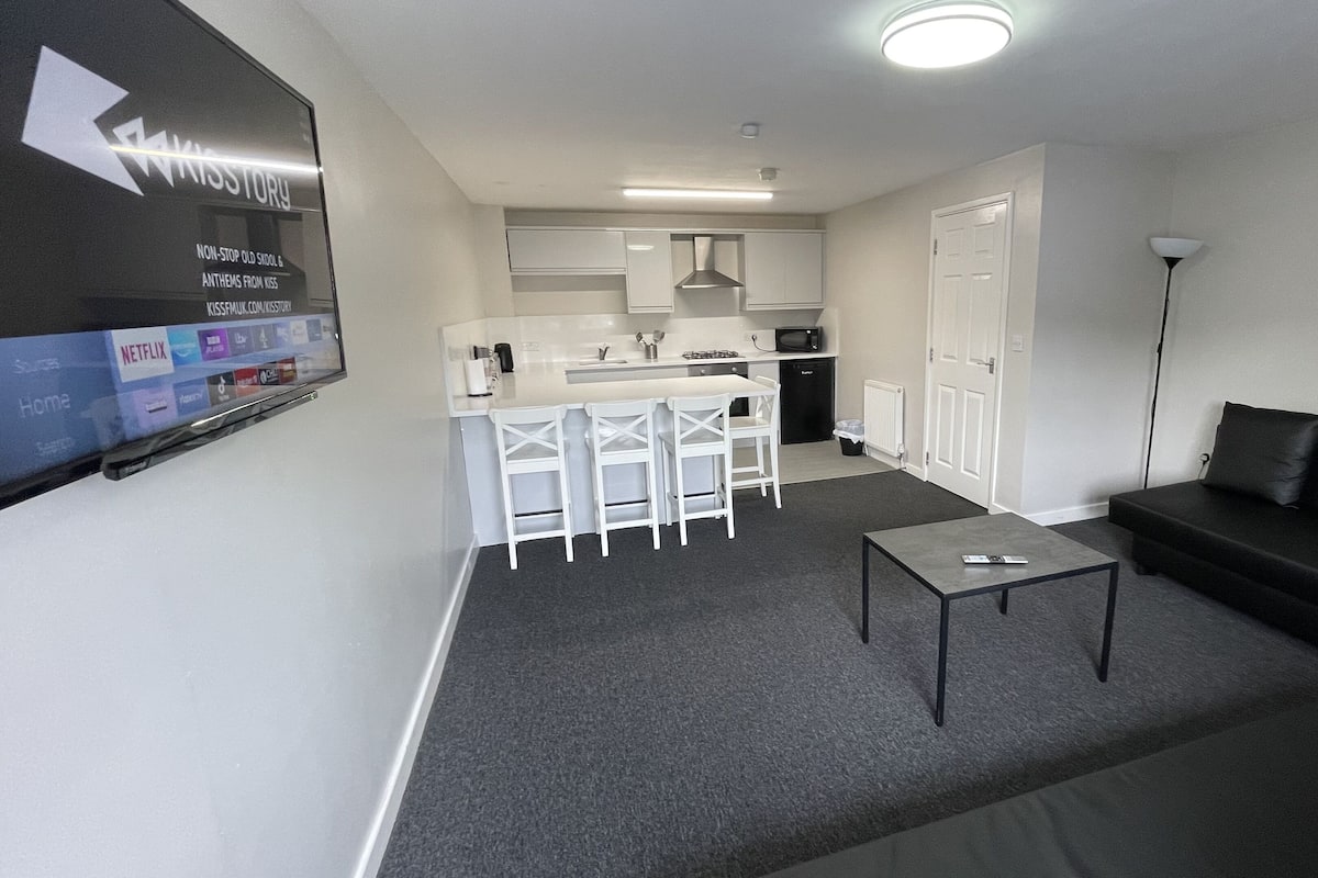 A modern apartment with a living area, a kitchenette, and a dining space.