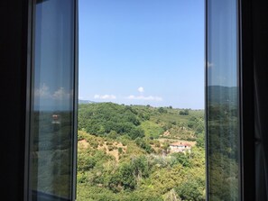 A view from a window overlooking a lush green landscape with a few scattered buildings.