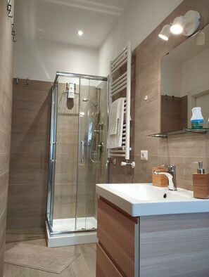 Shower, hair dryer, bidet, towels