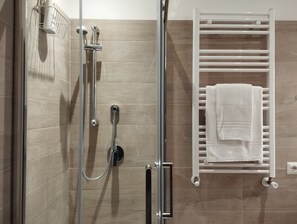 Shower, hair dryer, bidet, towels