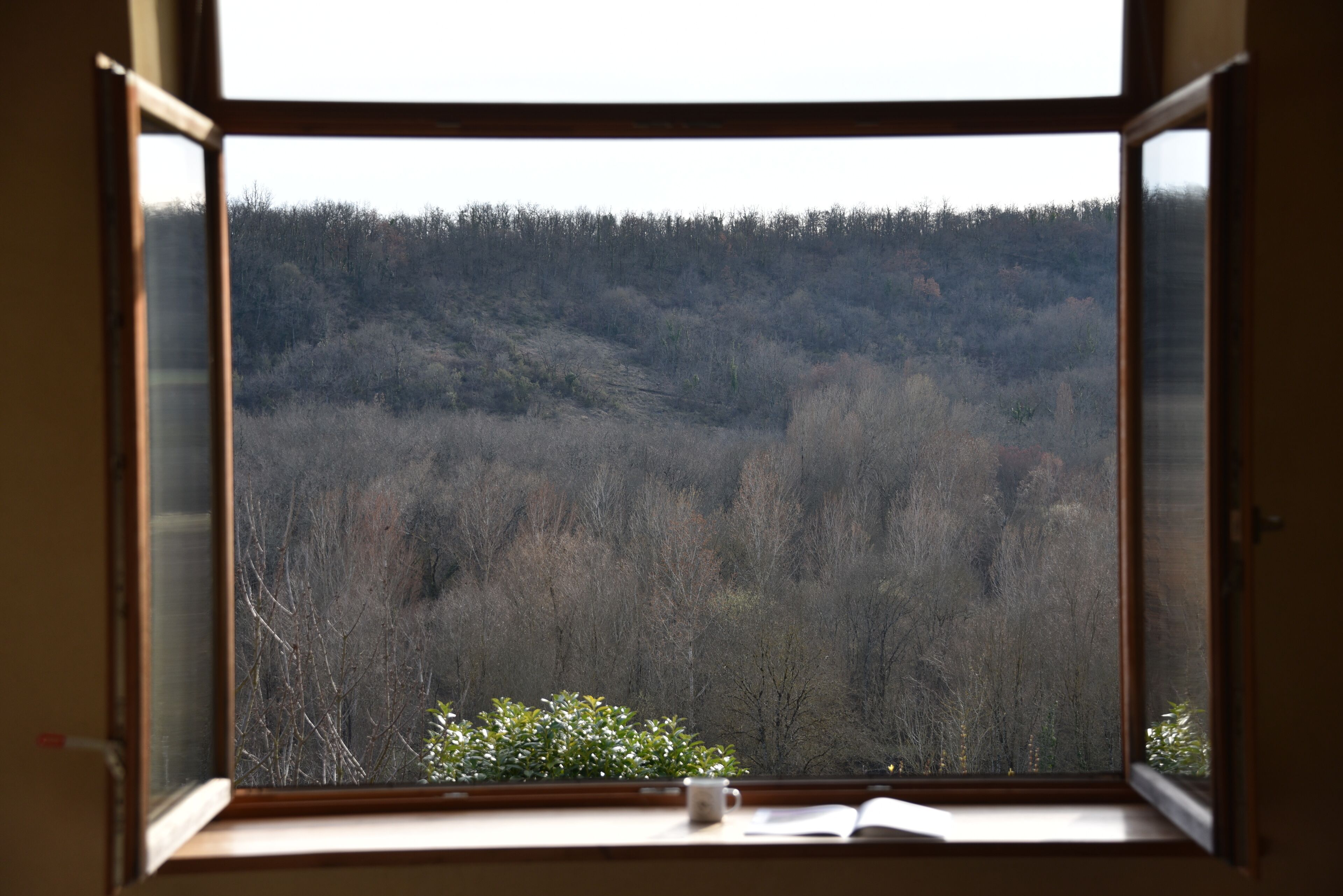 Una habitación con un amplio ventanal que ofrece vistas a una ladera boscosa.