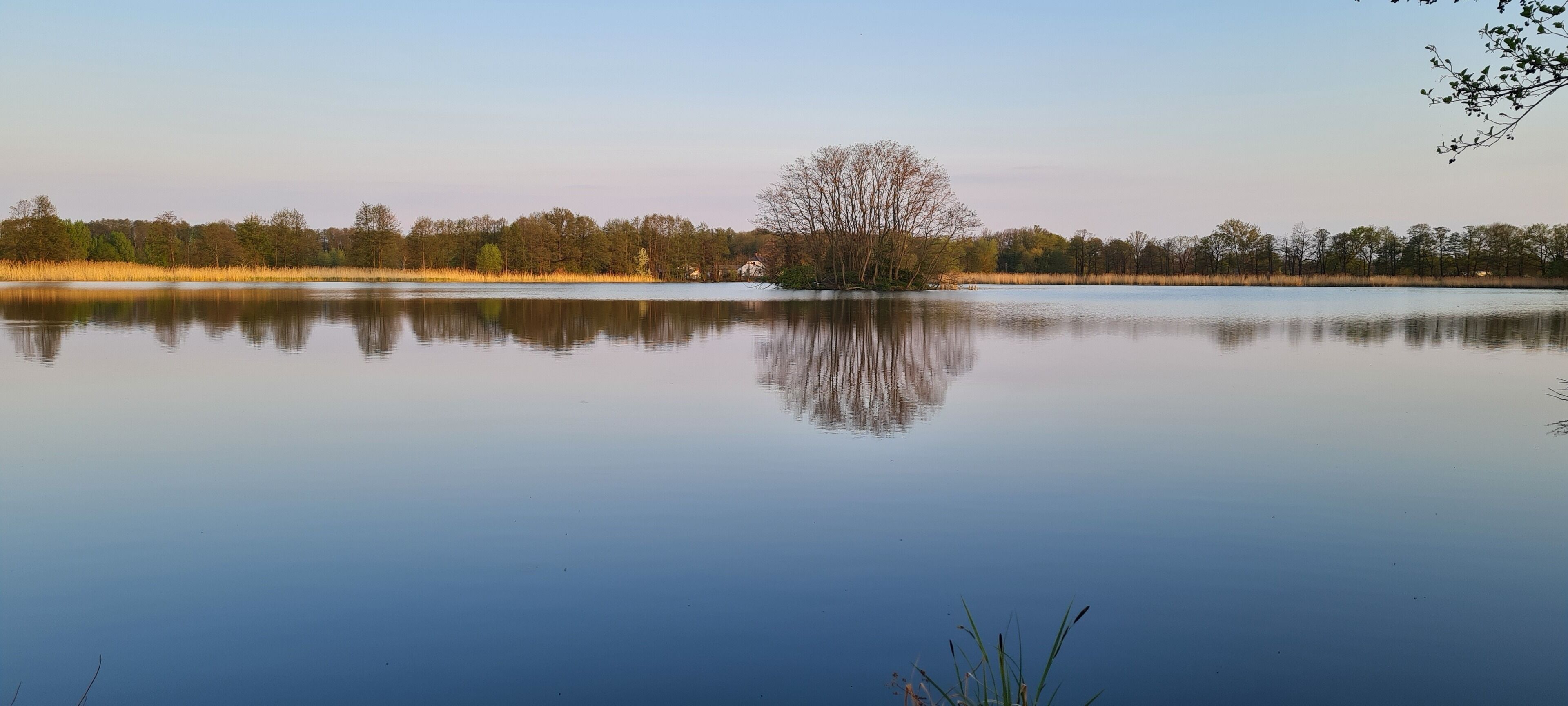 En stilla sjö med en tydlig spegelbild av träd och en byggnad i fjärran.