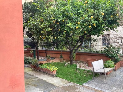 House garden Vatican Walls