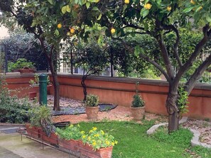 Property grounds - House garden Vatican Walls (Roma)