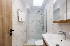 Shower, hair dryer, towels, shampoo