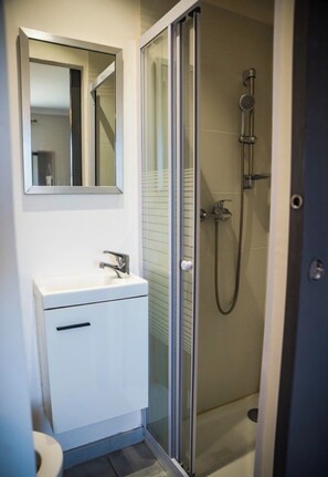 A modern bathroom with a glass shower enclosure, a white sink with a mirror above it, and a toilet visible to the left.