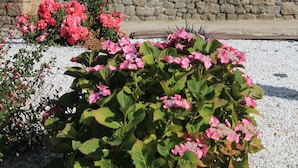 Un jardin côtier avec un mur de pierre, un phare aux motifs à carreaux et des fleurs roses.
